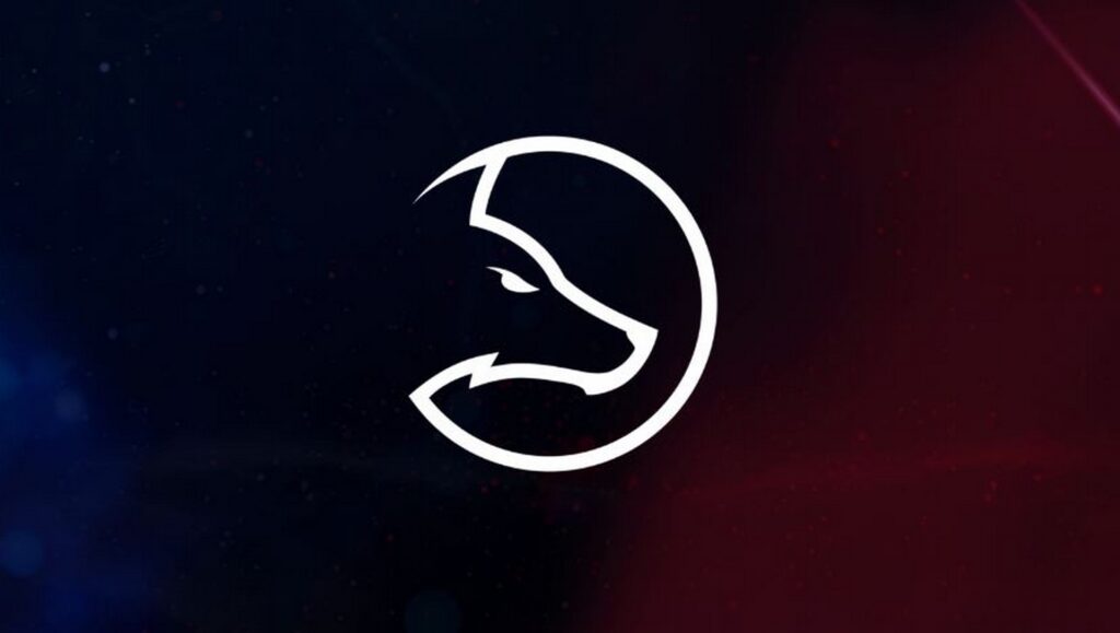 Team LDLC