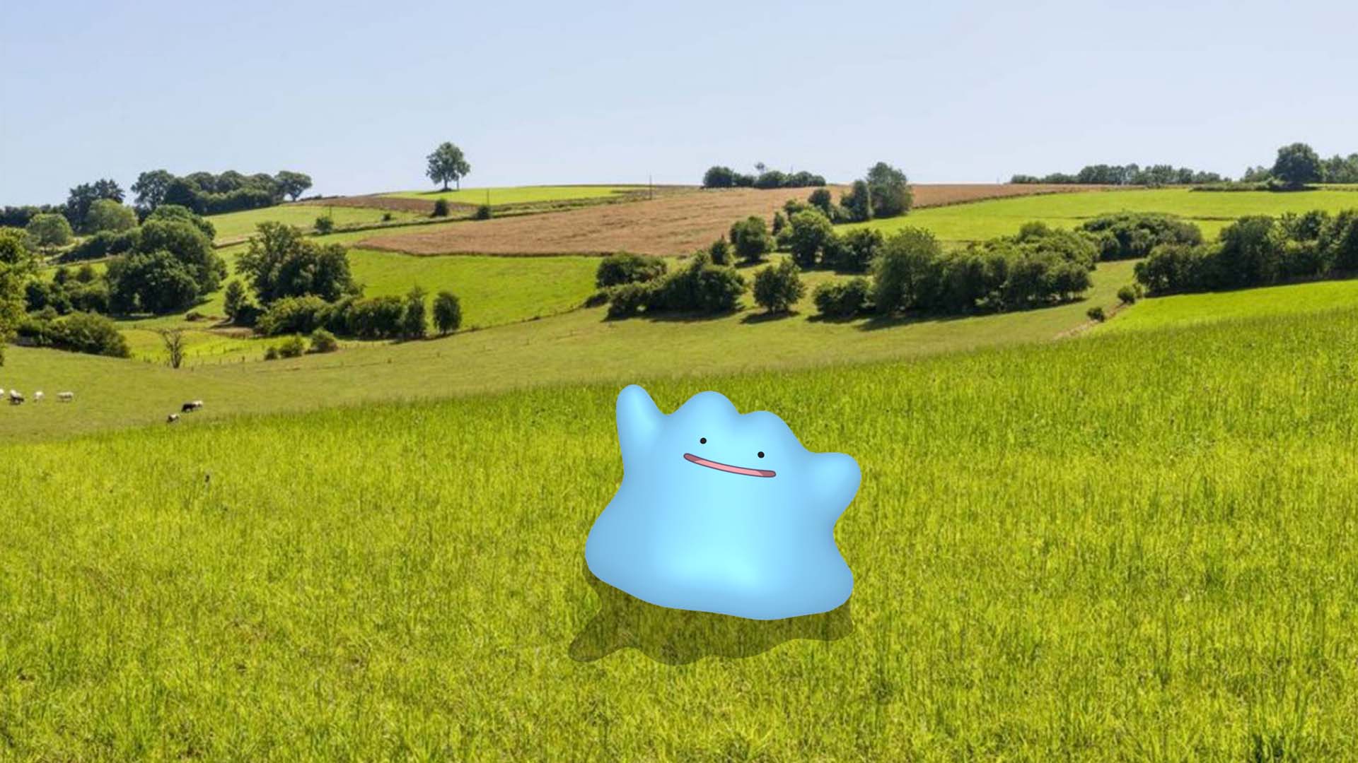 Pokémon GO Tour: Kanto – Des détails supplémentaires sur les Défis de Collection et l’Étude Spéciale