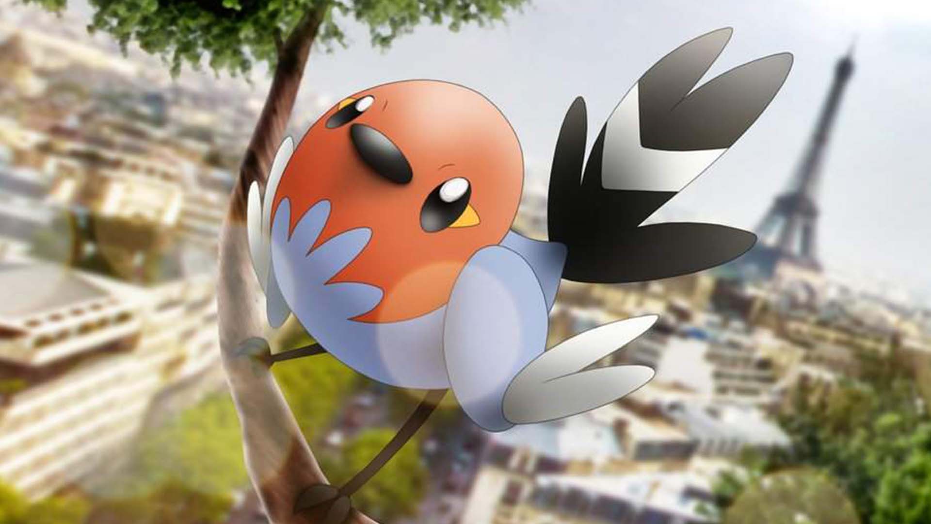 Un oiseau des plus courageux - Guide de l'étude spéciale du Community Day