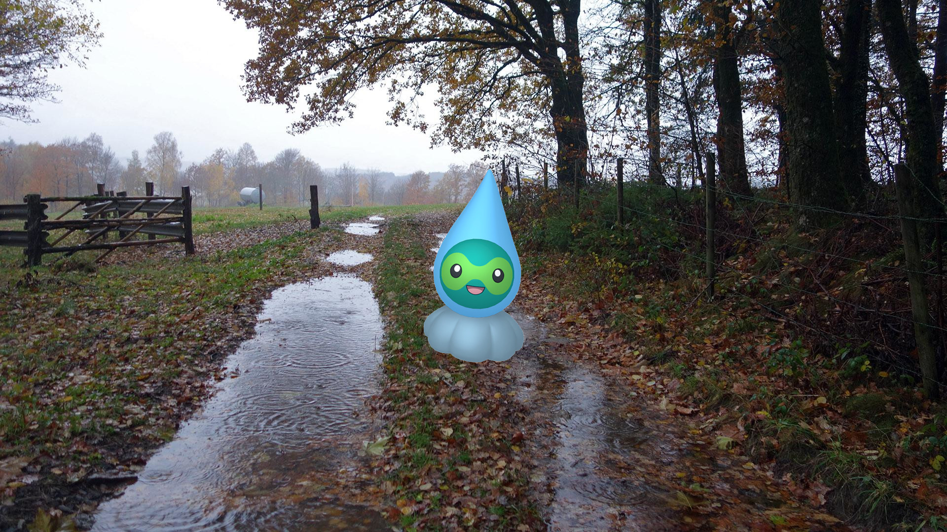 Semaine Météo - Guide de l'étude ponctuelle