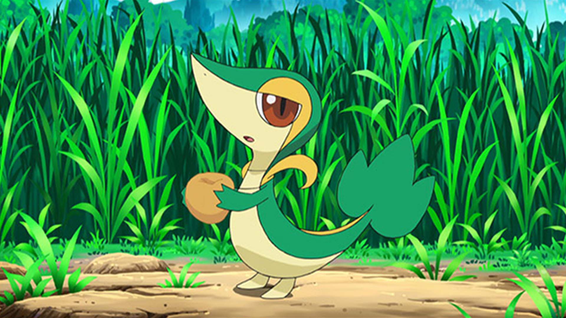 Vipélierre au soleil - Guide de l'étude spéciale du Community Day