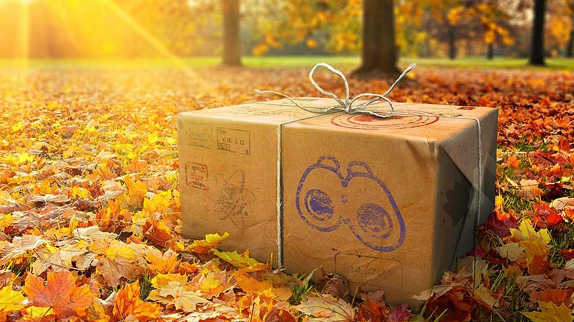 Programme du mois de Novembre - Fête des lumières, Día de Muertos et bien d'autres