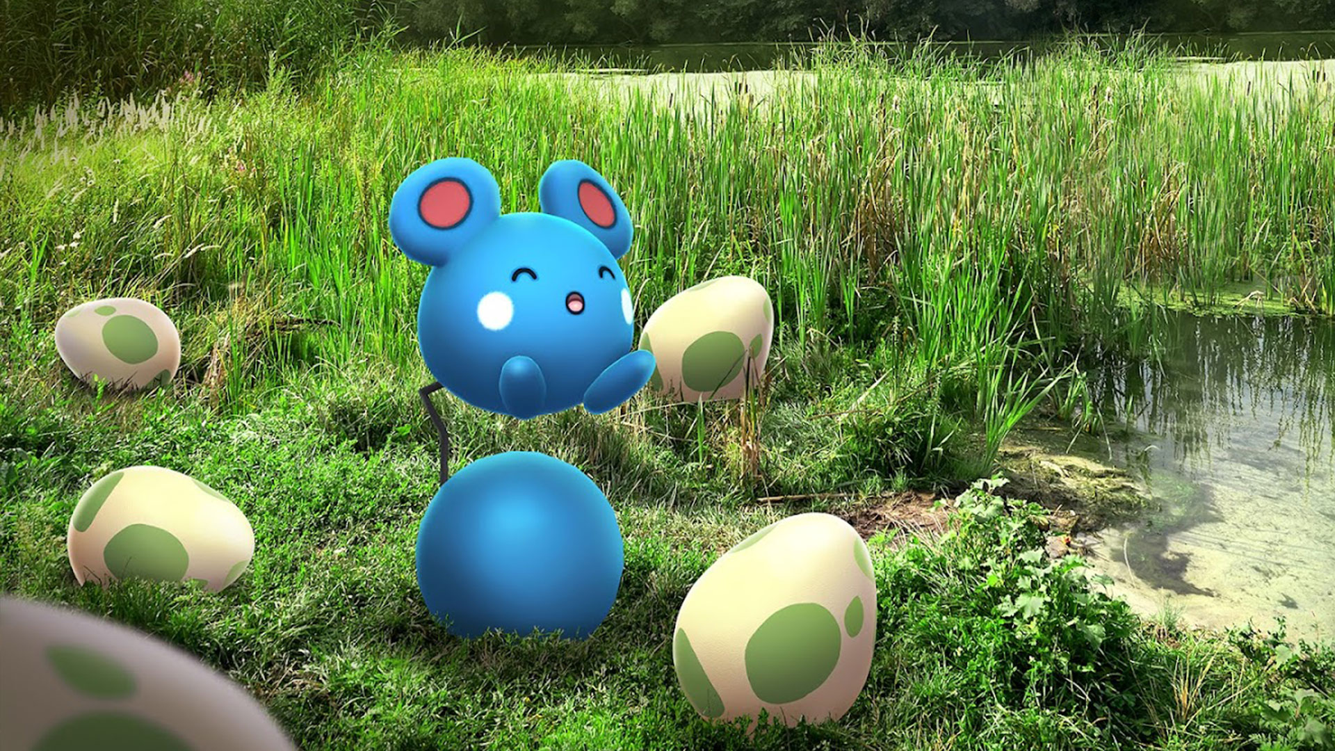 Guide de la Journée d'éclosion Azurill sur Pokémon GO