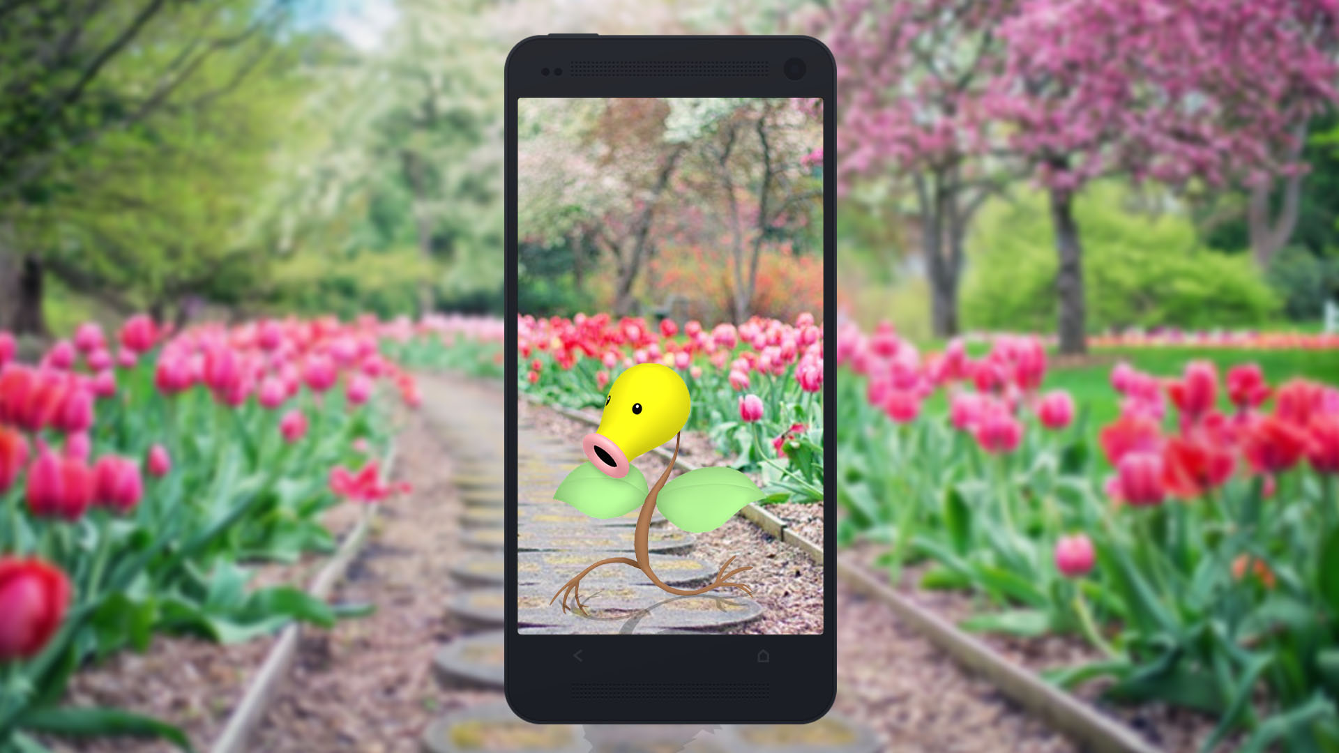 Chétiflor sera la star du Community Day d'avril 2024 - Pokémon GO