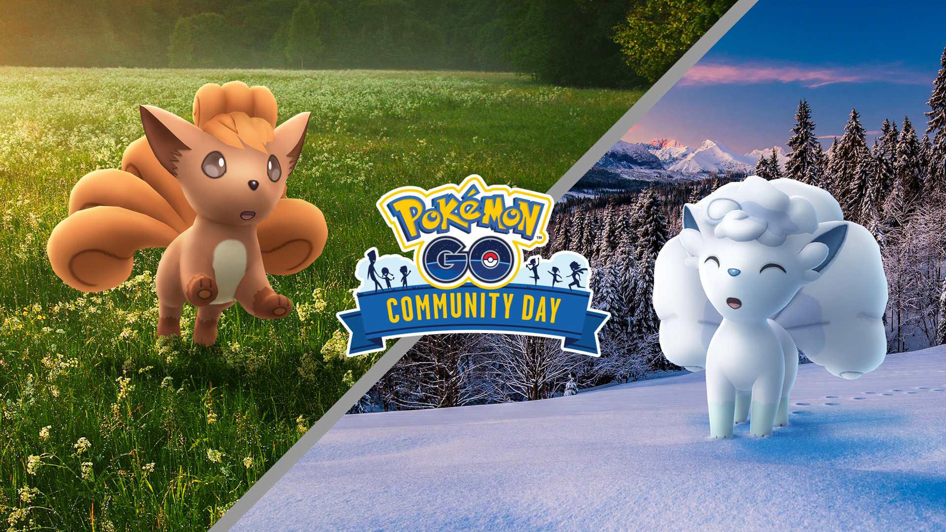 Goupix et sa forme Alola sont les vedettes du Community Day de février sur Pokémon GO !